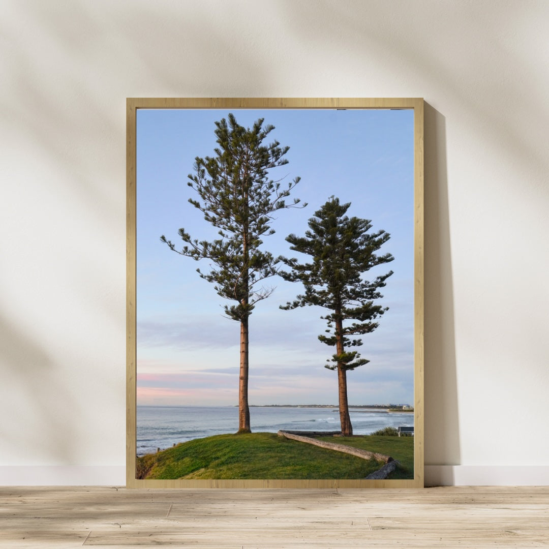 Twin Trees - Bulli NSW