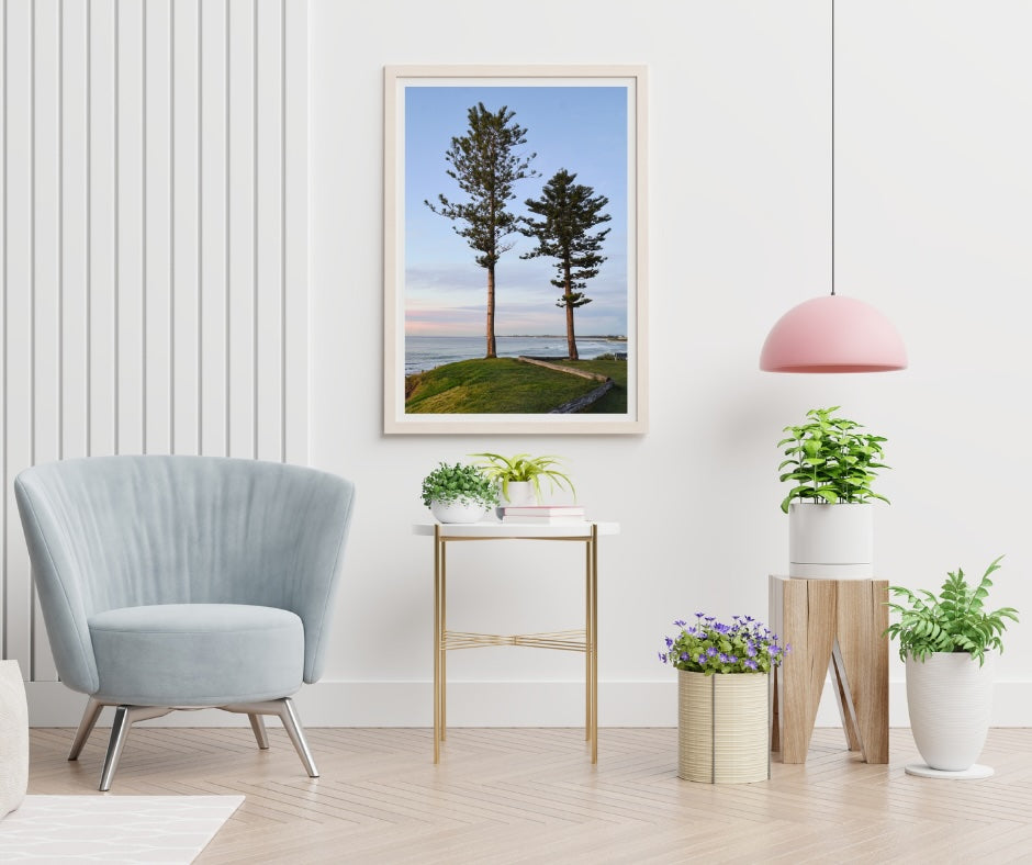 Twin Trees - Bulli NSW